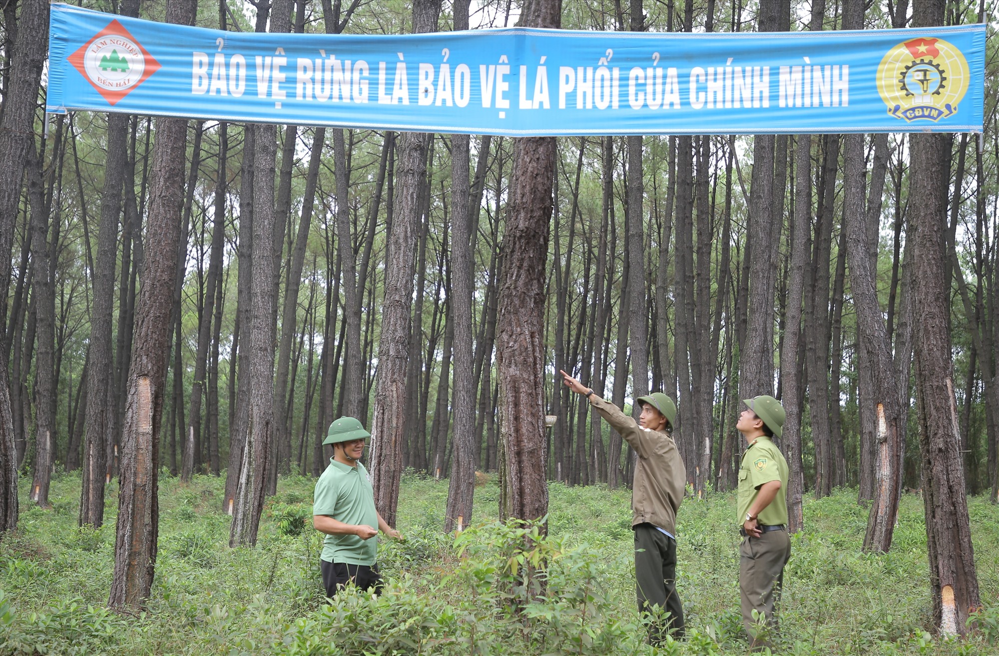 Bảo vệ rừng là bảo vệ lá phổi của chính mình